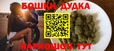 гидра Ставрополь