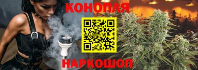 гидра Ставрополь