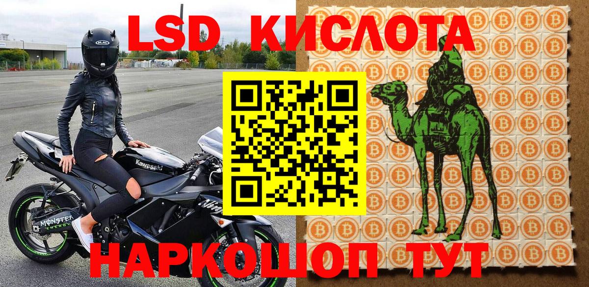 Прокопьевск  Наркотические марки 1500мкг  Вход с VPN  Наркотические марки  Наркотические марки 1500мкг 